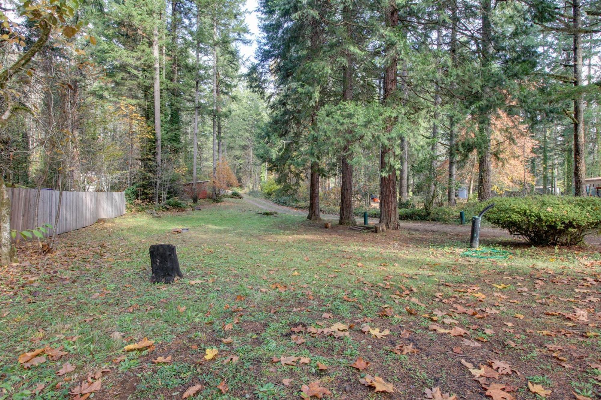 Peaceful Mckenzie River Retreat Fish, Hike, And Ski Vida Екстер'єр фото